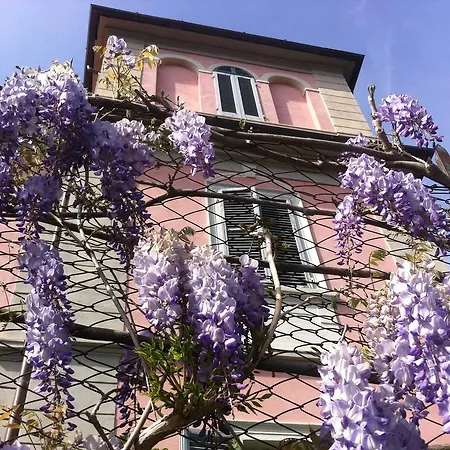 Villa Arianna B&B-2